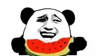 娱乐圈吃瓜系统沙雕动画,沙雕动画里的欢乐与泪点