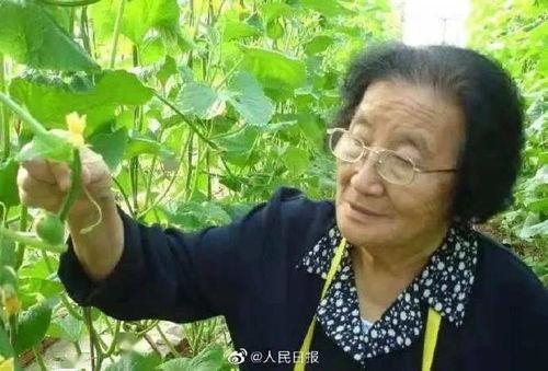 娱乐吃瓜酱中国本土的,揭秘中国本土娱乐圈的幕后故事