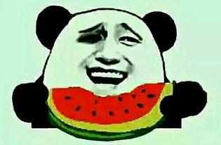 娱乐吃瓜酱假装打电话,明星幕后故事大揭秘！