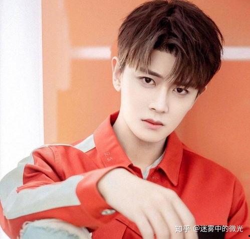 任嘉伦吃瓜娱乐,揭秘明星幕后趣事