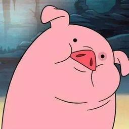 娱乐吃瓜酱猪猪视频下载,揭秘热门娱乐内容获取新方式