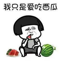 娱乐吃瓜铺,吃瓜群众背后的故事