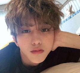 吃瓜娱乐酱程序员