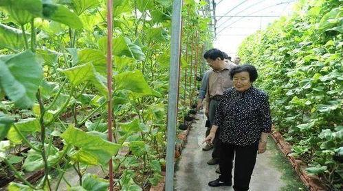 娱乐吃瓜戴手环的是谁,揭秘神秘明星幕后生活