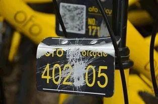 娱乐吃瓜群众分享视频,吃瓜群众分享的独家视频大揭秘