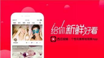 吃瓜娱乐封面怎么做的视频,吃瓜娱乐封面制作全流程解析